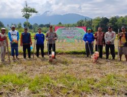 Polsek Jaro Tanam Jagung Serentak Dukung Ketahanan Pangan Nasional