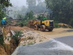 Listrik di Aceh-Sumut Masih Terputus, Tower Sementara Segera Didirikan