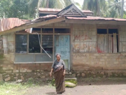 Rumah Warga di Nenbura Sikka Rusak Akibat Pohon Tumbang