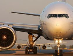 Singapura Perketat Skrining Kesehatan Bandara Akibat Virus Nipah